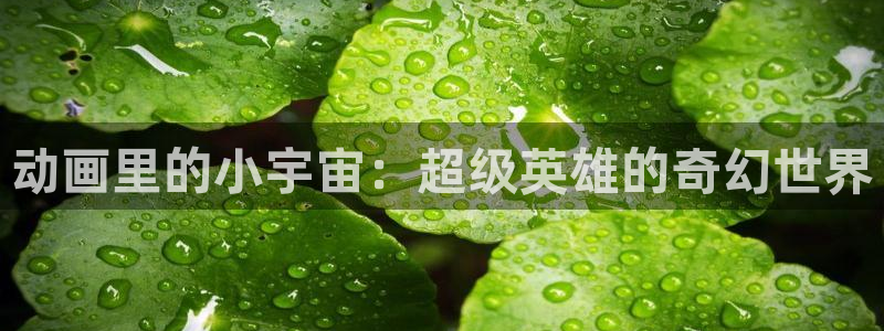 omofun动漫软件下载免费版：动画里的小宇宙：超级英雄的奇幻世界