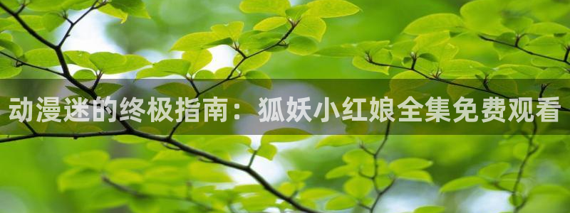 omofun动漫：动漫迷的终极指南：狐妖小红娘全集免费观看