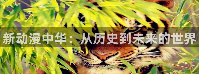 omofun苹果能下载吗：新动漫中华：从历史到未来的世界