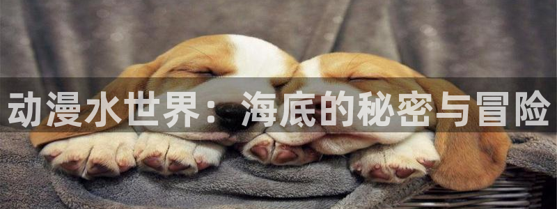 omofun网页版登录入口：动漫水世界：海底的秘密与冒险