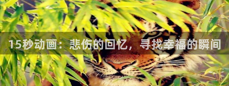 omofun下载ios：15秒动画：悲伤的回忆，寻找幸福的瞬间