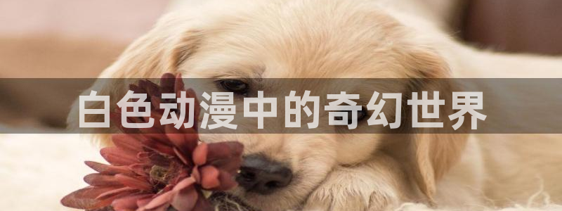 omofun官网入口链接：白色动漫中的奇幻世界