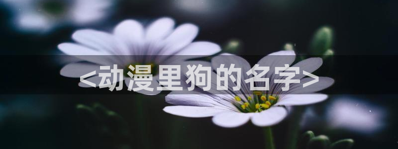 omofun网页版：<动漫里狗的名字>
