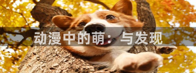 omofun新版本下载：动漫中的萌：与发现